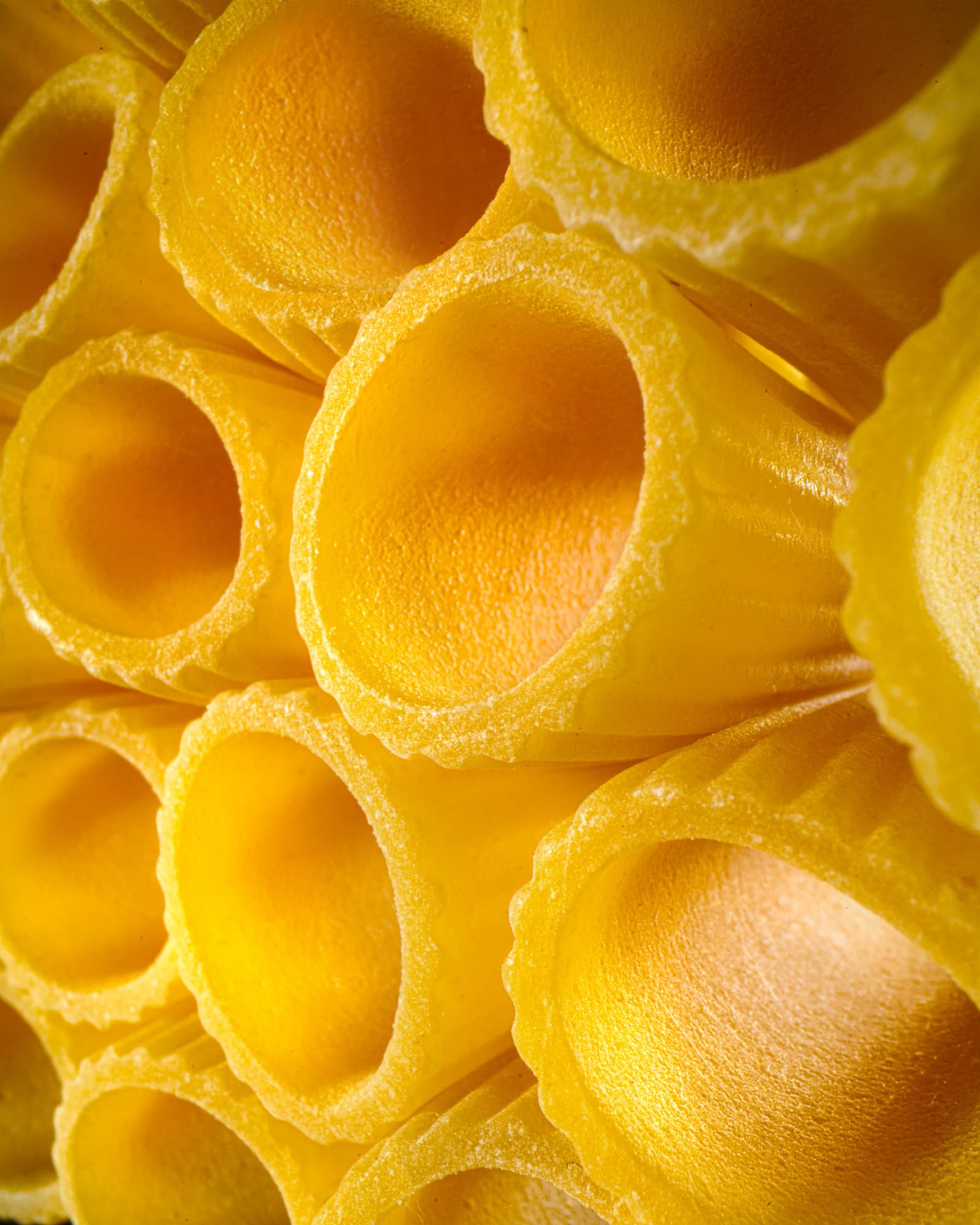 Rigatoni 2 copia
